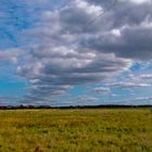 Tempelhofer Feld II