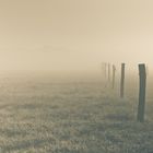 Tempelhofer Flughafenfeld im Morgennebel