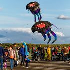 TEMPELHOFER FREIHEIT - 9. FESTIVAL DER RIESENDRACHEN #09