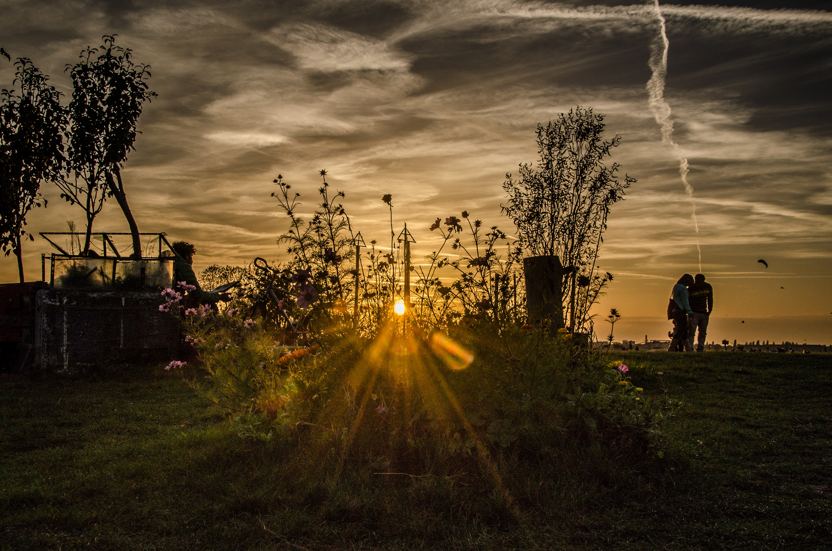 Tempelhoferfeld