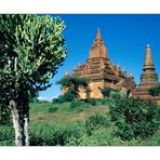 Tempelruine in Bagan