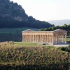 Tempelruine von Segesta