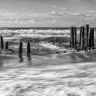 Temperamentvolle Nordsee (s/w Freitag 30062023)