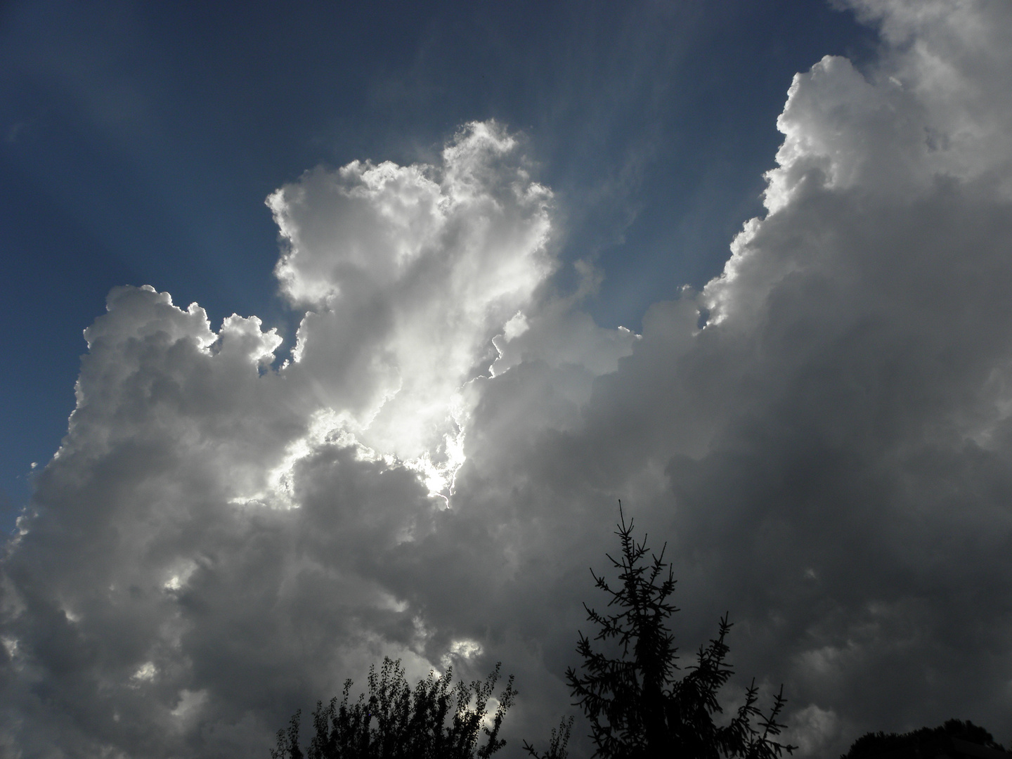 tempesta in arrivo..