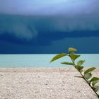 TEMPESTA SUL MARE ADRIATICO