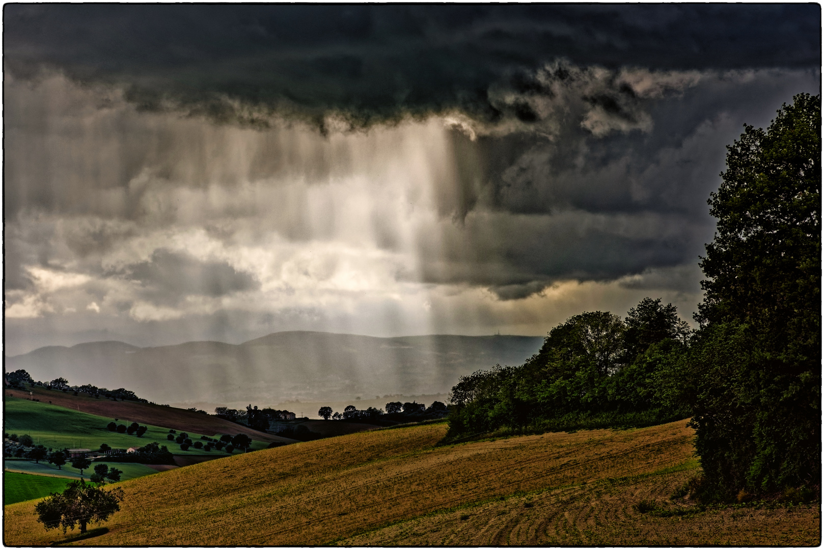 „ tempestoso “