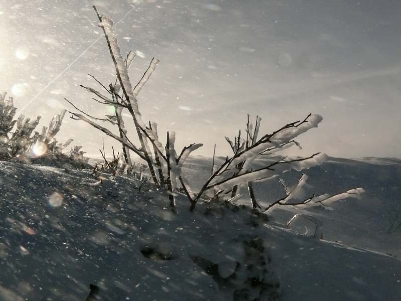 tempete glaciale de capteur-demotions 