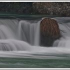 Tempi lunghi per il Brenta ...