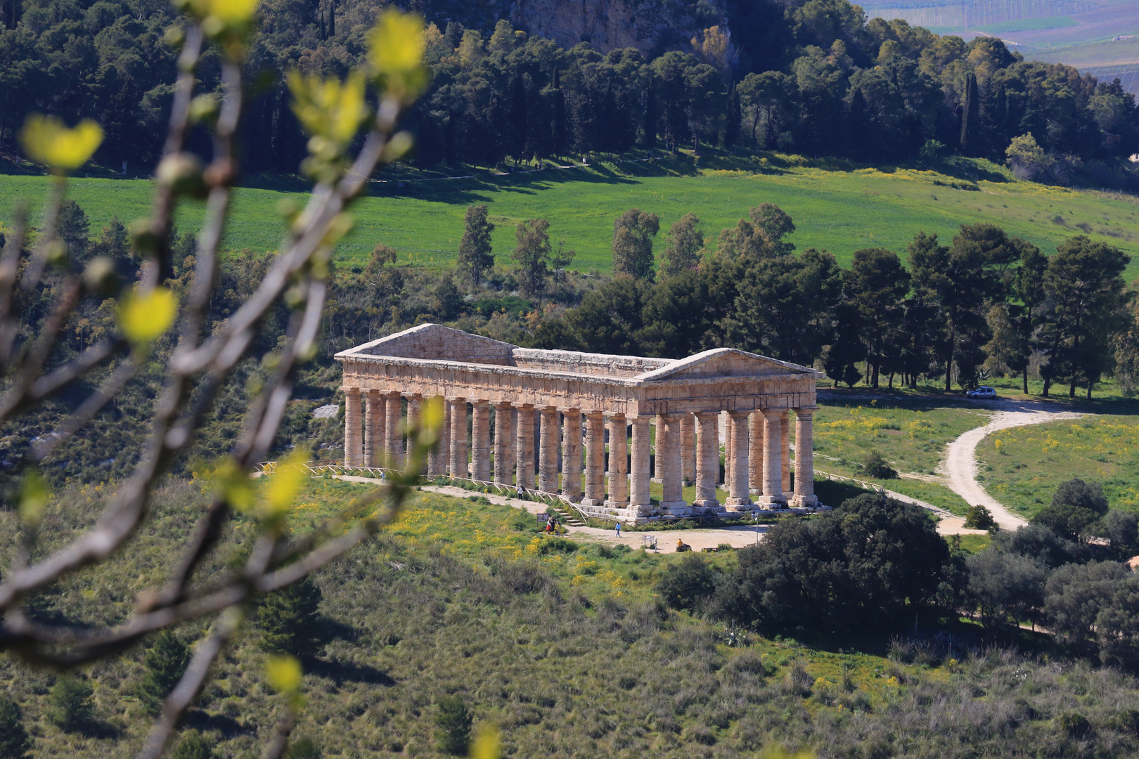 Tempio di Segesta