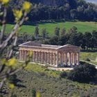 Tempio di Segesta