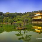 Tempio d'oro Kioto