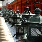 Tempio Kasuga Taisha - Nara - (JP)