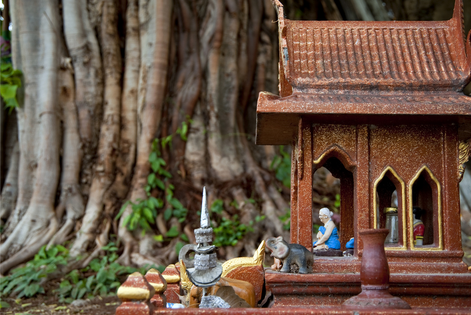 Temple and Banyan Tree