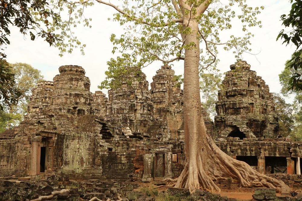 temple d'Angkor