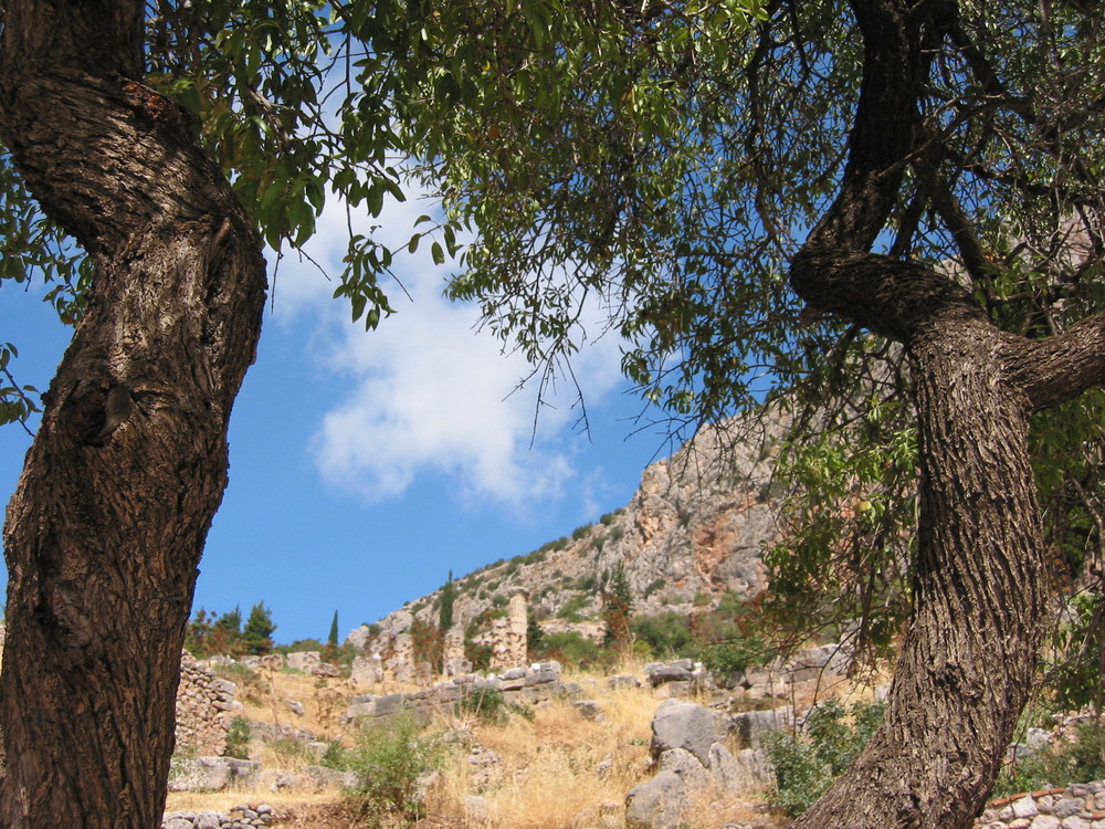 Temple d'Apollon2