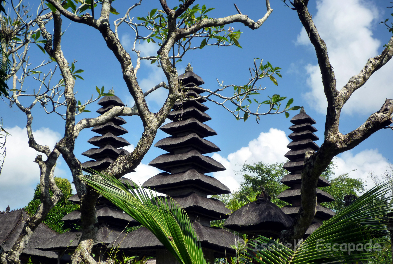 Temple de Mengwi - Bali
