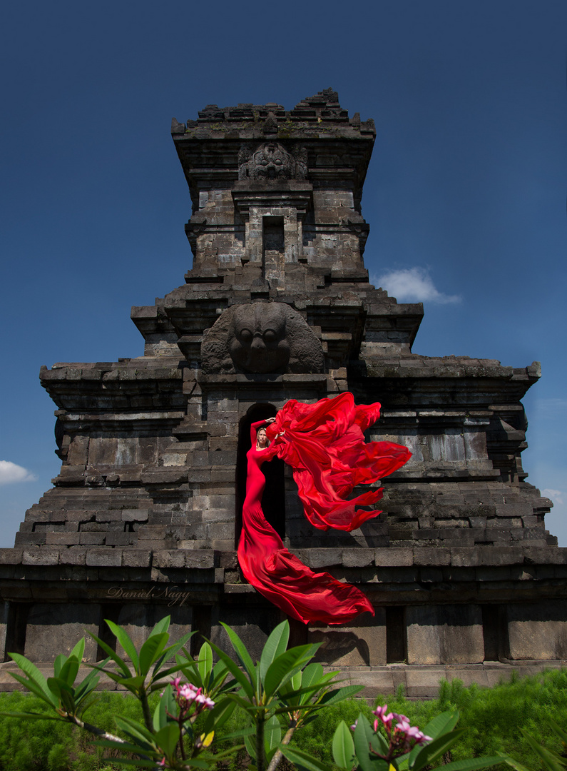 Temple Fairy