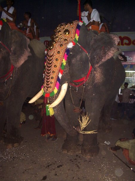 Temple Festival Cochin