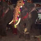 Temple Festival Cochin