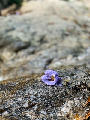 Franco De Vita Fotos Bilder Fotograf Aus Weinfelden Schweiz Fotocommunity