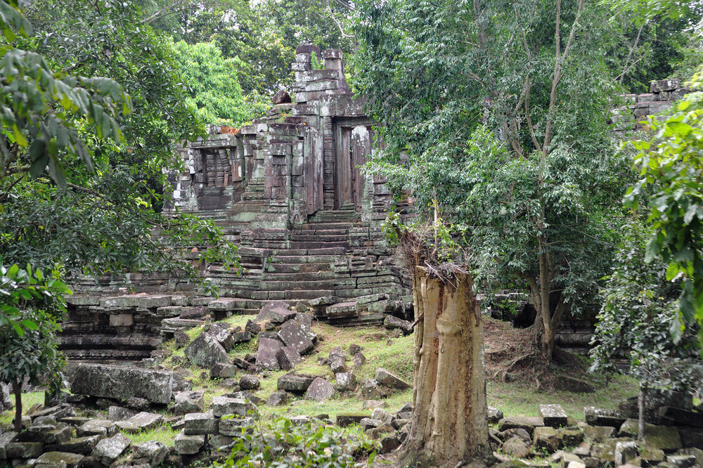 Temple in the jungle