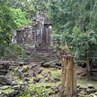 Temple in the jungle