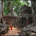 Temple Ta Prom, Angkor/Cambodia