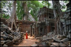 Temple Ta Prom, Angkor/Cambodia