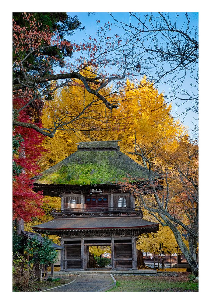 Temple to get in autumn -I