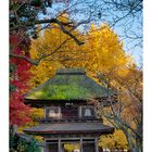 Temple to get in autumn -I