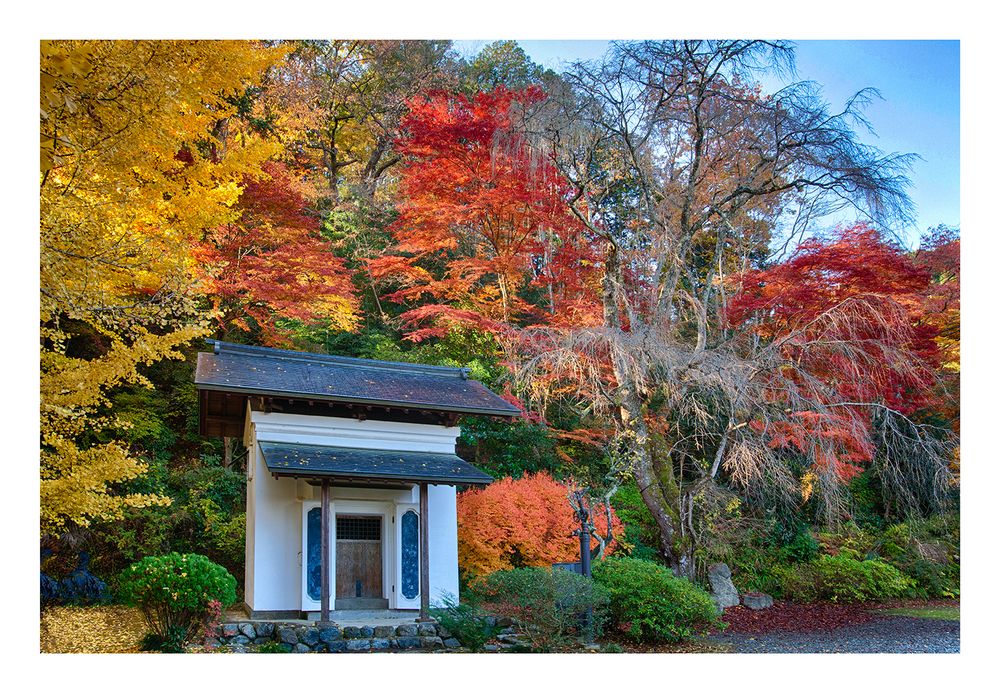 Temple to get in autumn -III