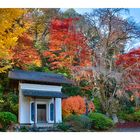 Temple to get in autumn -III