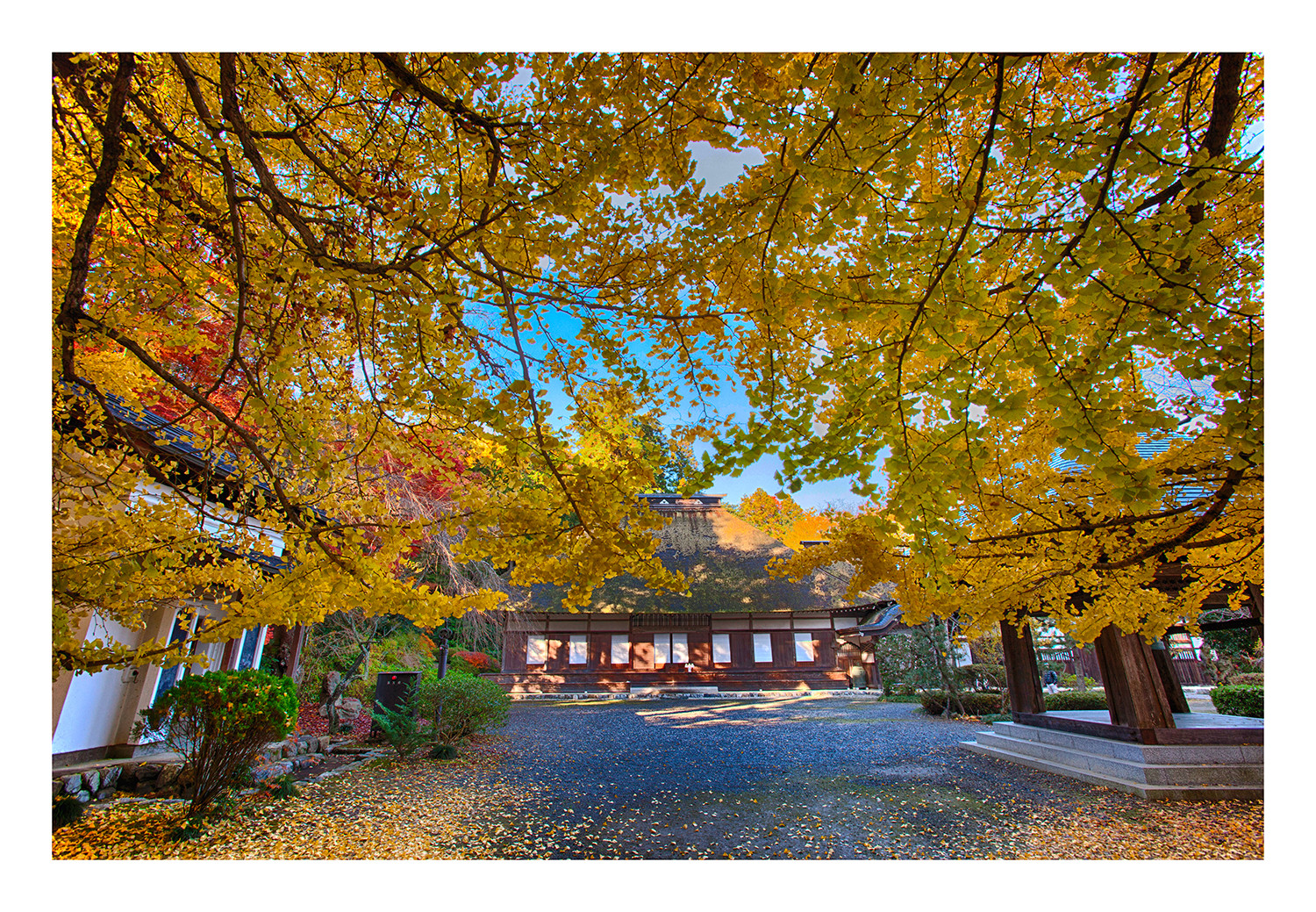 Temple to get in autumn -IV