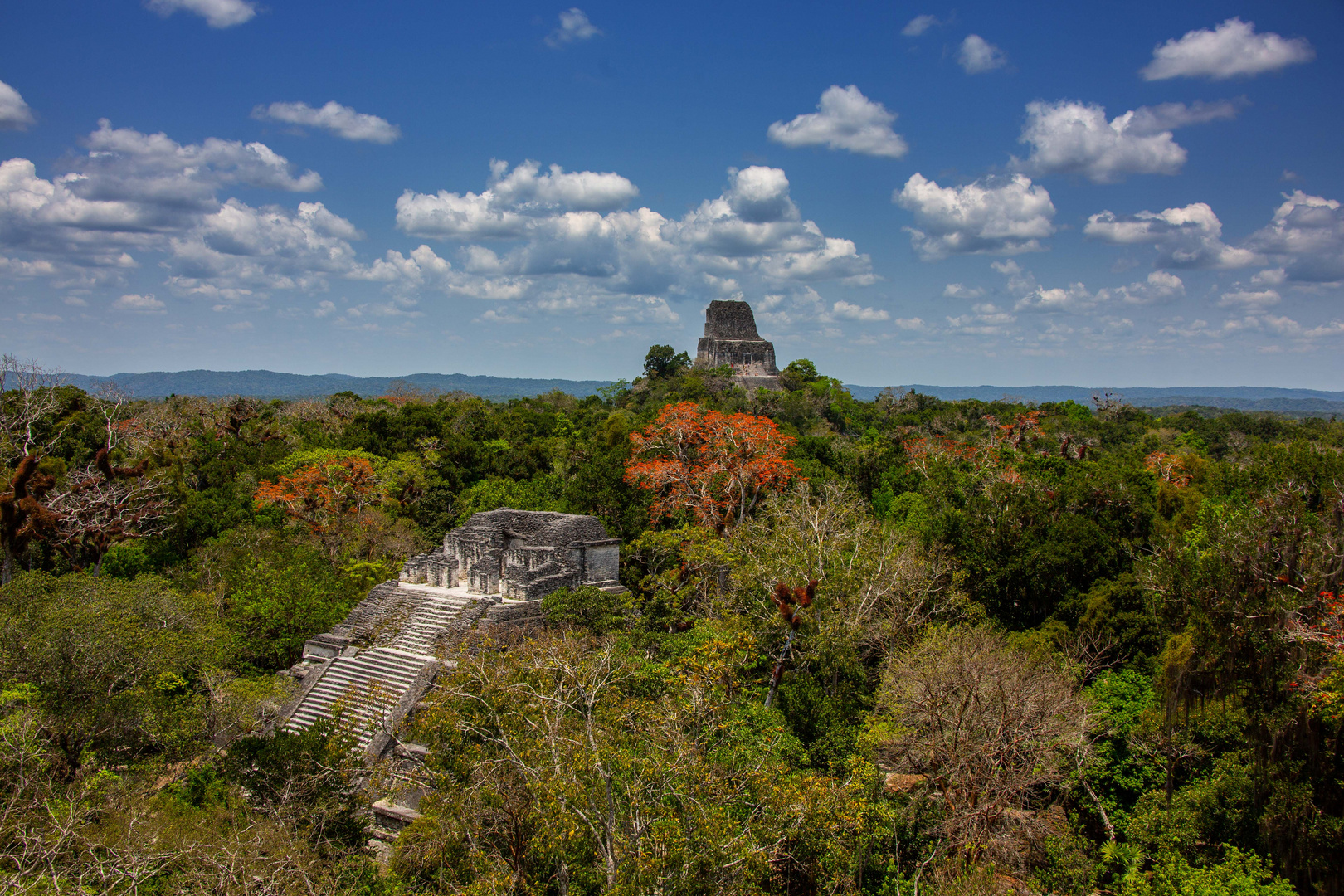 Temples Mayas sur le site de Tikal.