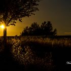 Templin Spaziergang durch die Natur