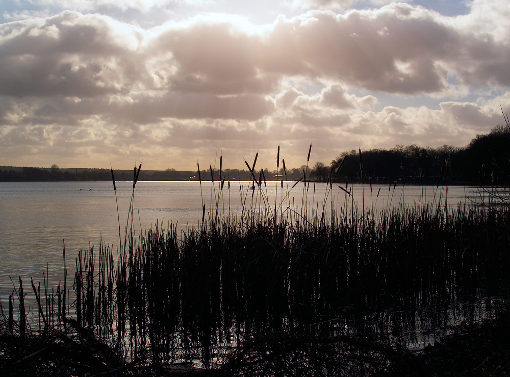 Templiner See im Gegenlicht