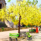 templo colorido en Chiang Mai