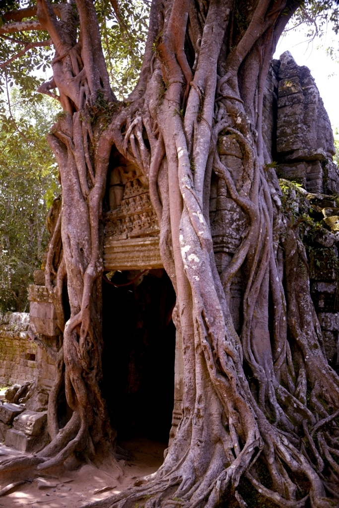 Templo de Ta Som