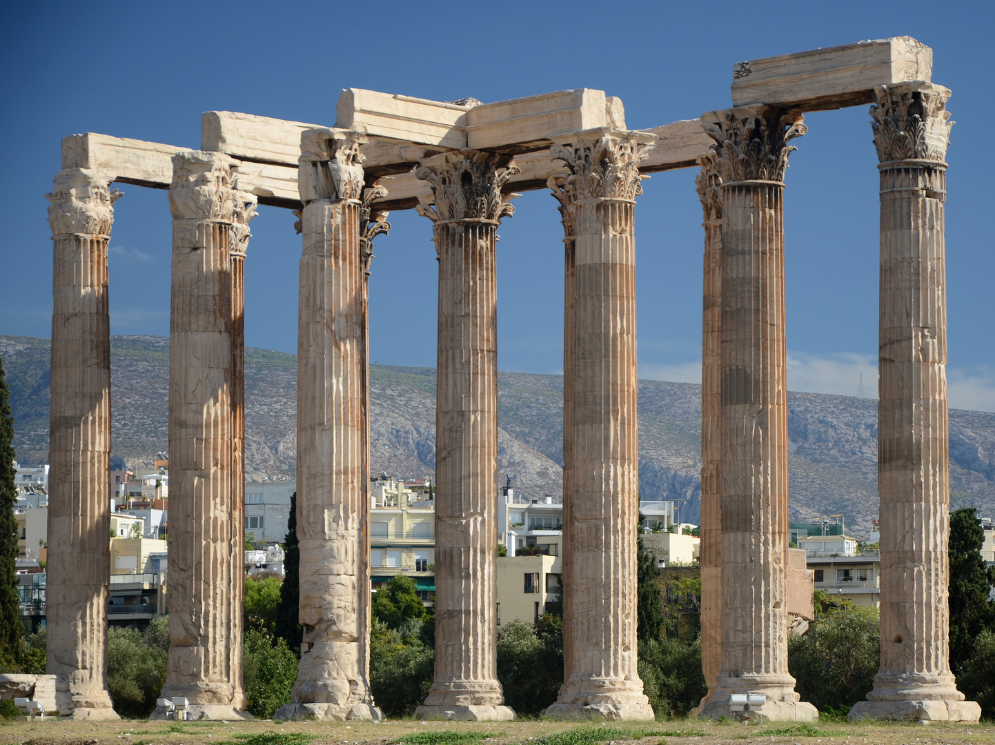 Templo de Zeus. Olimpico