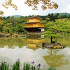 Templo del Pabellón de Oro - Rokuon-ji 
