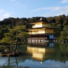 Templo Dorado Kyoto