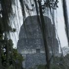 Templo Tikal