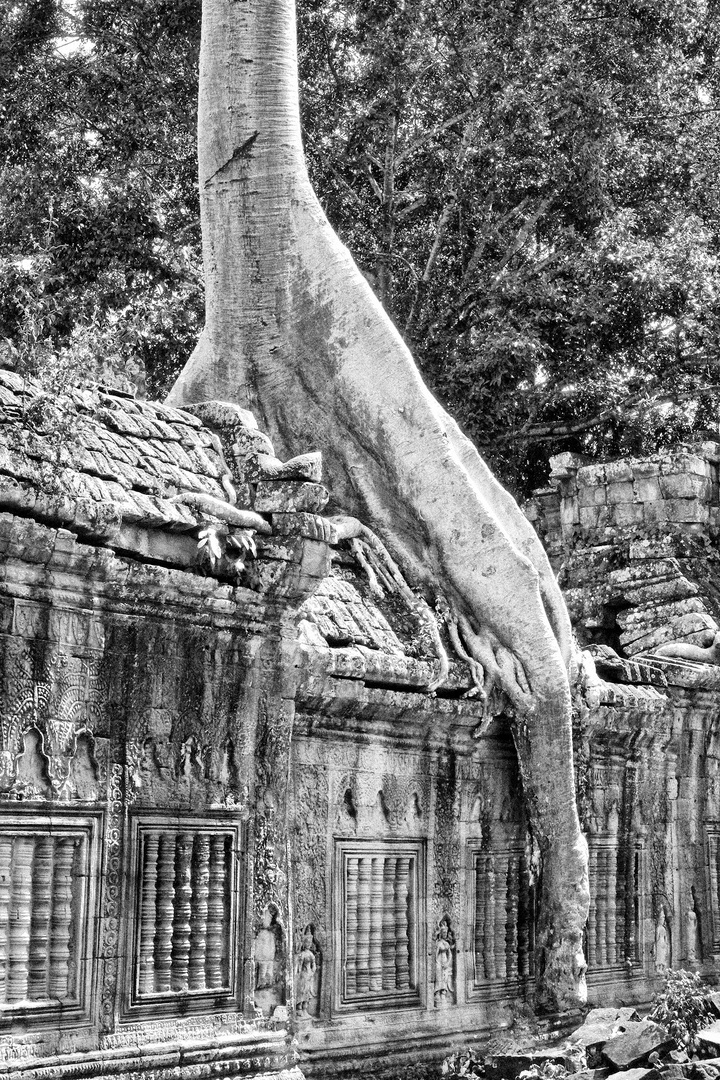 TEMPLOS DE ANGKOR ( CAMBOYA)