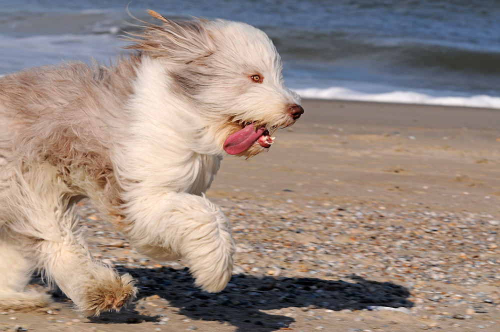 Tempo am Strand 2