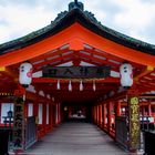 TEMPO MIYAJIMA