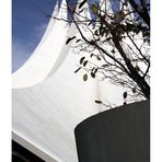 Tempodrom 3