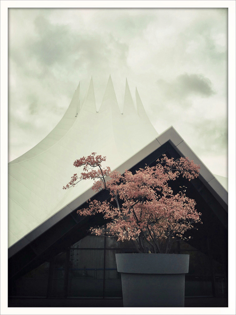 Tempodrom 