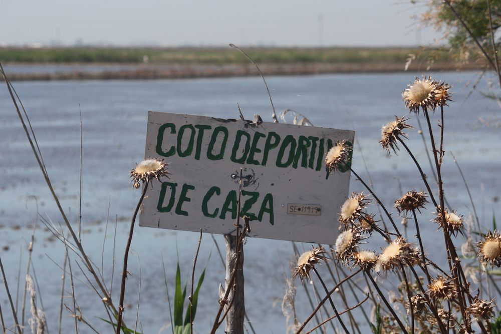 temporada de caracoles 