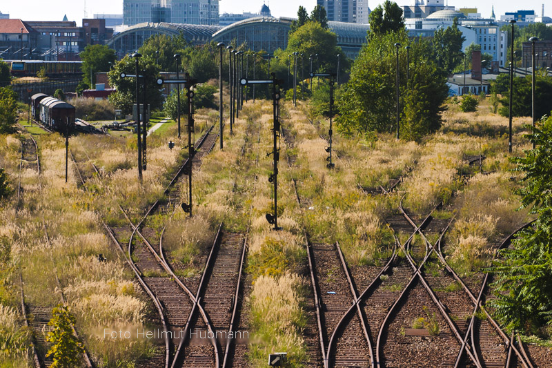 TEMPORÄRES GRASLAND (2005)