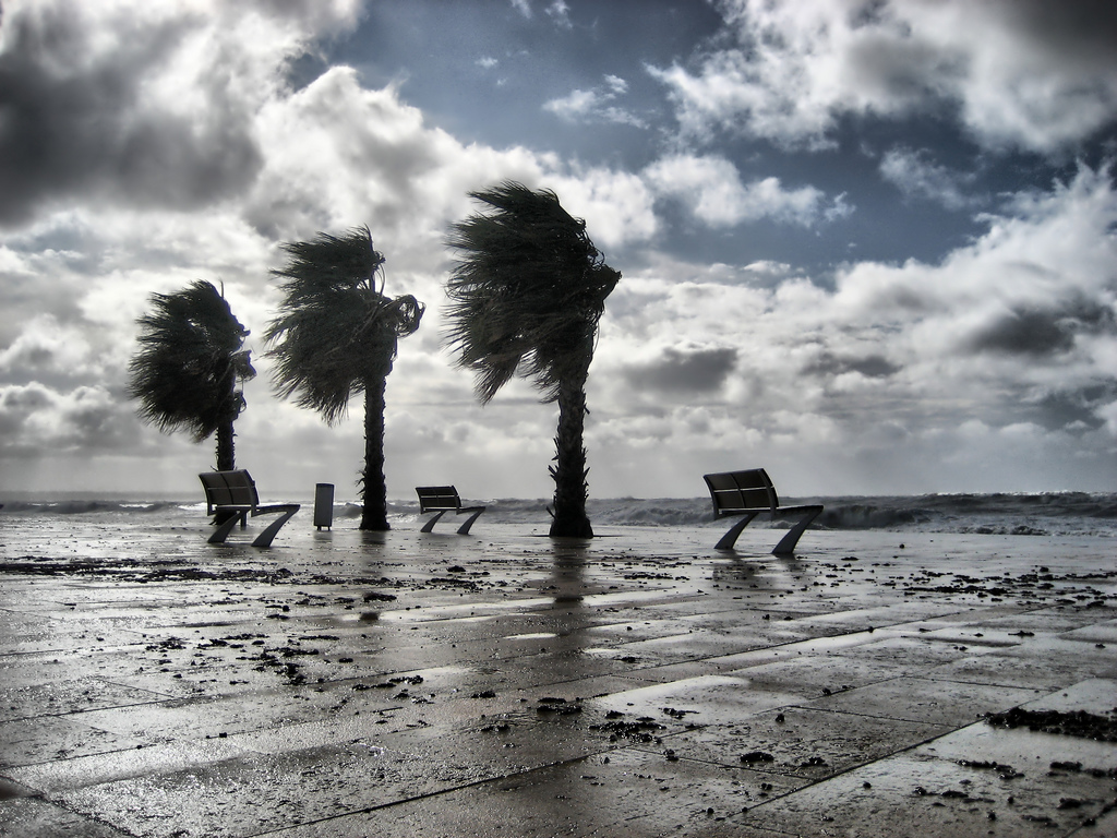 Temporal de Viento